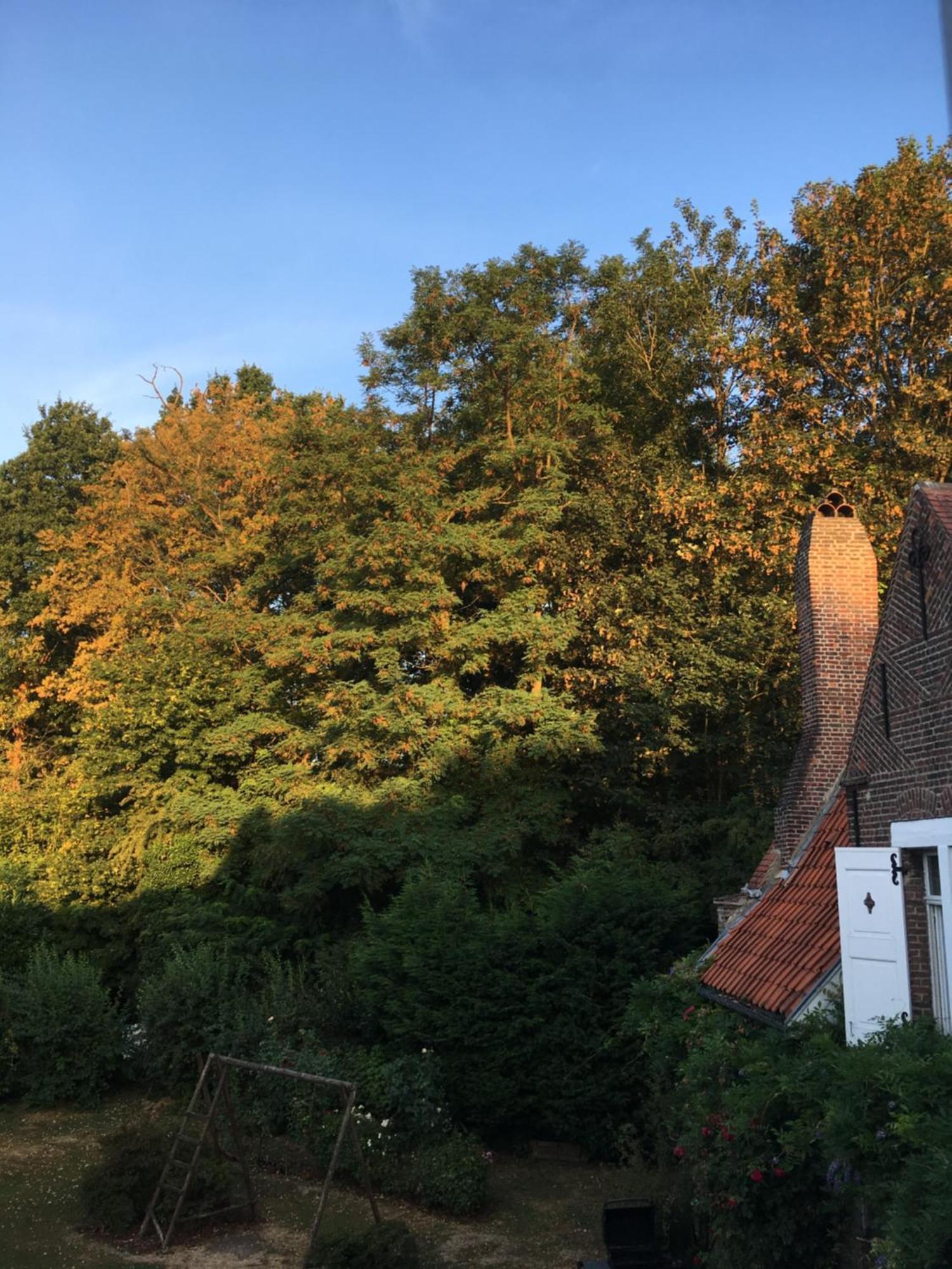 Le Pigeonnier, Maison D'Hotes Et Spa Croix Exterior foto